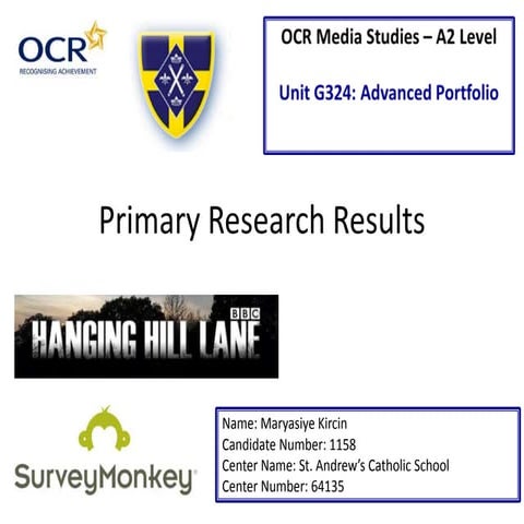 Primary Research Evidence - Maryasiye Kircin
