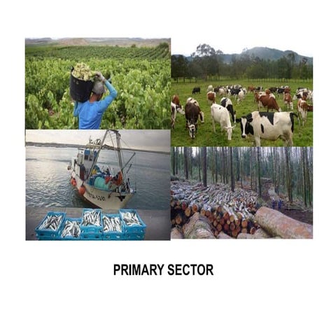Primary sector