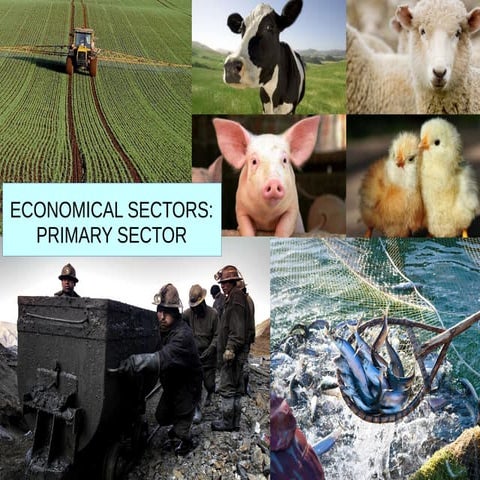 Primary sector