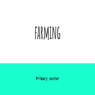 Primary sector farming