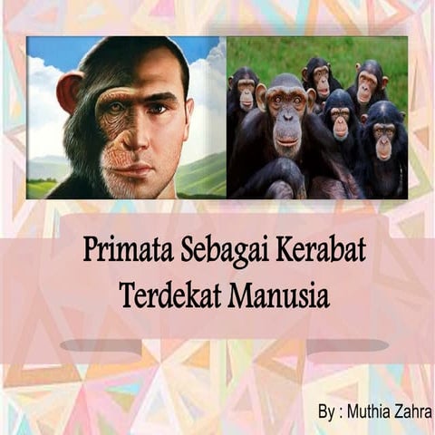 Primata sebagai kerabat terdekat manusia | PPTX