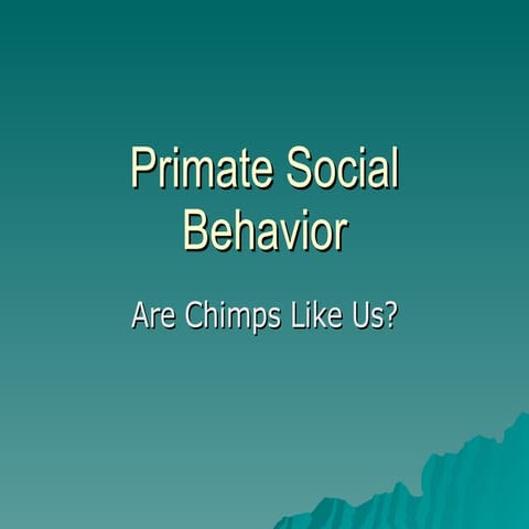 Primate Social Behavior