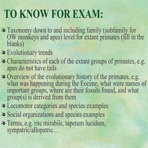 Primate social organization