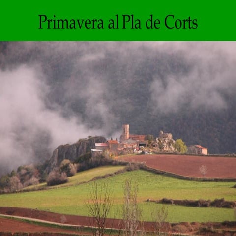 Primavera Al Pla De Corts