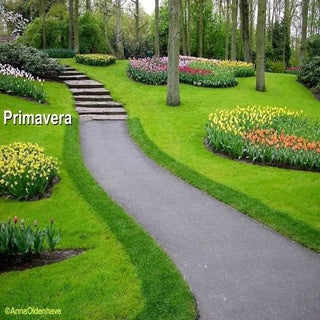 Primavera   Cecília Meirelles   Final