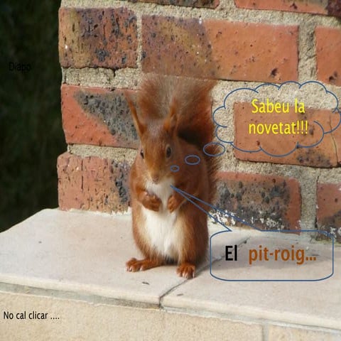 Primavera 2012 PPT