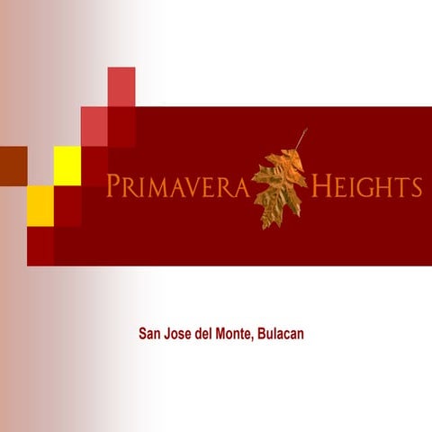 Primavera Presentation