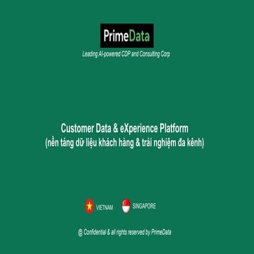 Customer Data & eXperience Platform (nền tảng dữ liệu khách hàng & trải nghiệ...