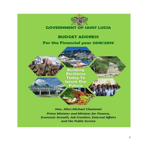 Prime minister's budget address 2018 2019-building resilience today for the f...