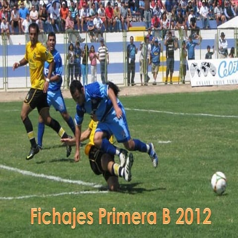 Primera b 2012 PPT