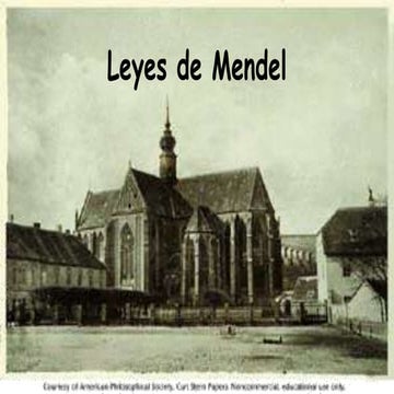 Primera ley de mendel