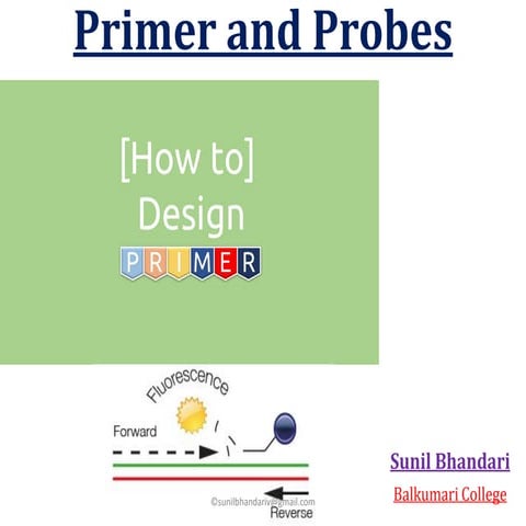 Primers and Probes
