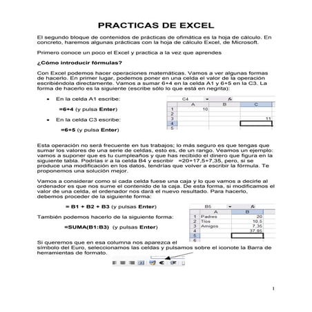 Primera practica Excel 2007