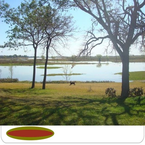 Primer encuentro Contextos en educación rural