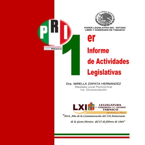 Primer informe dip. mzh