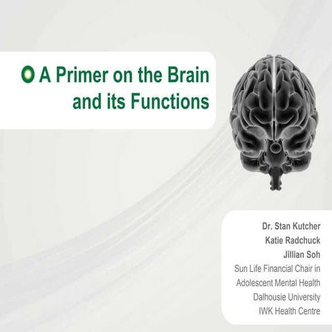 Primer on the brain   revised