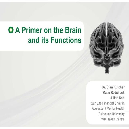 Primer on the brain   revised