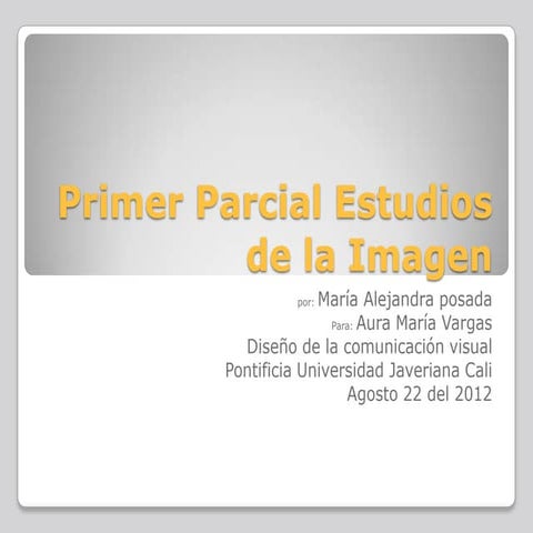 Primer parcial estudios de la imagen