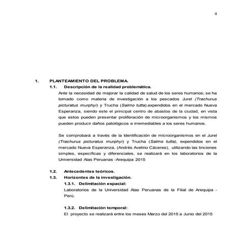 Primer proyecto original