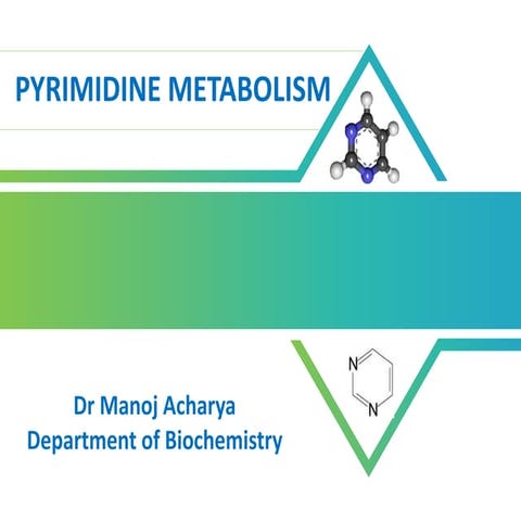 primidine metabolism.pptx