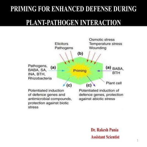 Priming for enhanced defence during Plant-Pathogen Intraction