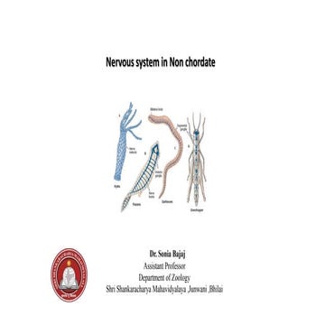 Primitive,diffused & advance Nervous system in Non chordata.pptx