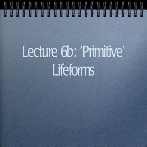Primitive life photos