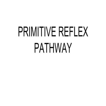 Primitive reflexes and therir pathway . pptxtx