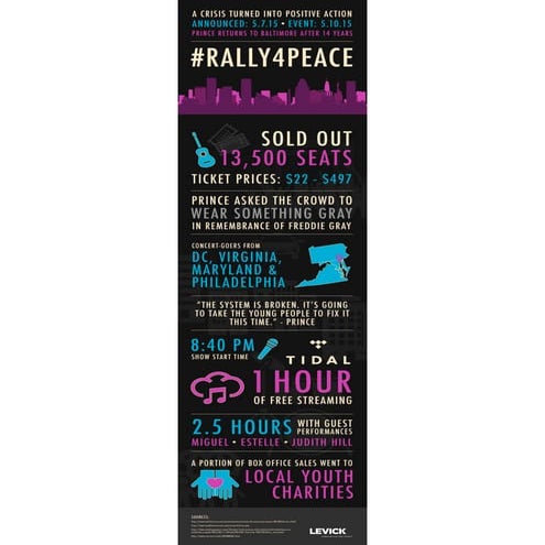 Prince's 'Rally 4 Peace' Benefit Concert