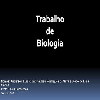 Principais poluentes do ar