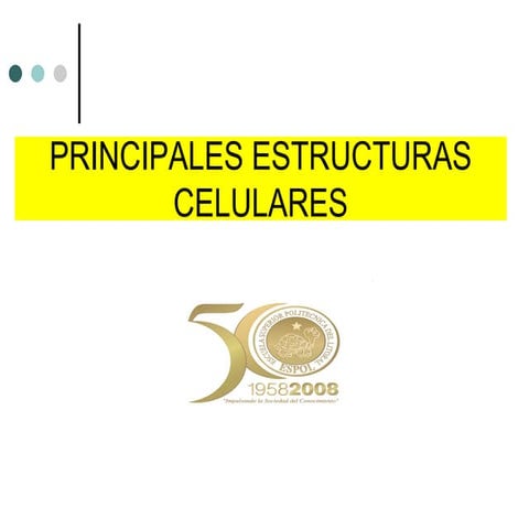 principal estructura celular