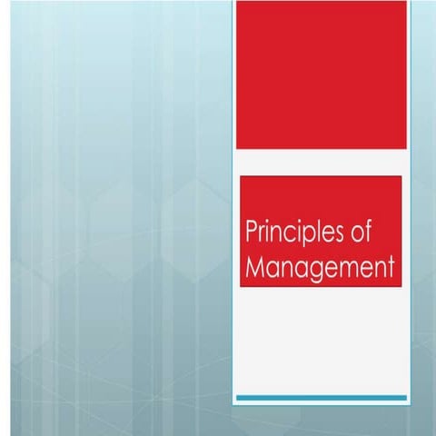 Principal Of Management