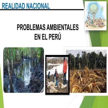 PRINCIPALES PROBLEMAS AMBIENTALES EN EL PERÚ.pptx