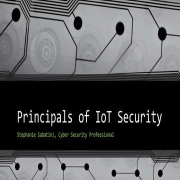 Principals of IoT security