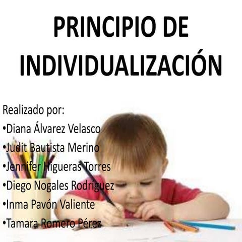 Principio de individualización