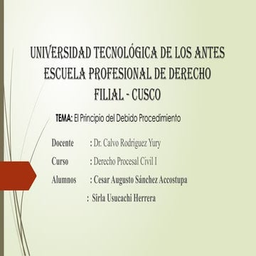 PRINCIPIO DEL DEBIDO PROCEDIMIENTO sirla.pptx