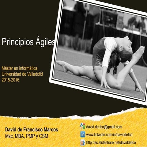 Principios Ágiles para la Gestión de Proyectos TIC