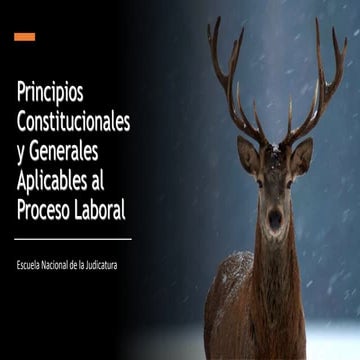 Principios Constitucionales y Generales Aplicables al Proceso Laboral (1).pptx