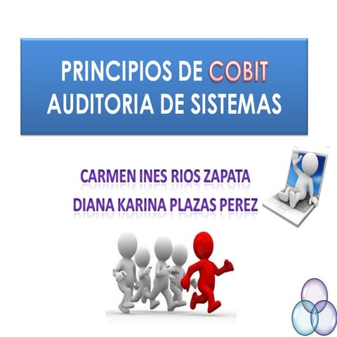 Principios De Cobit