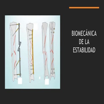 principios de la biomecanicaAAAAAAAAAAAA.pptx