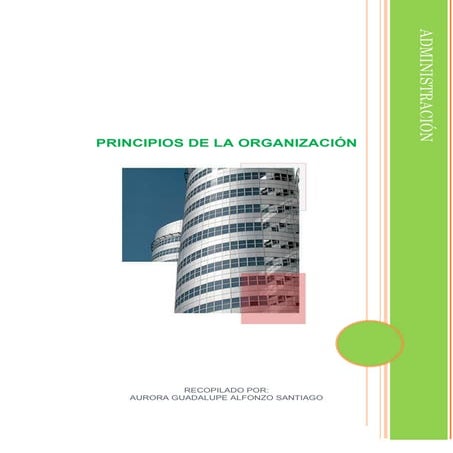 Principios de la organizacion