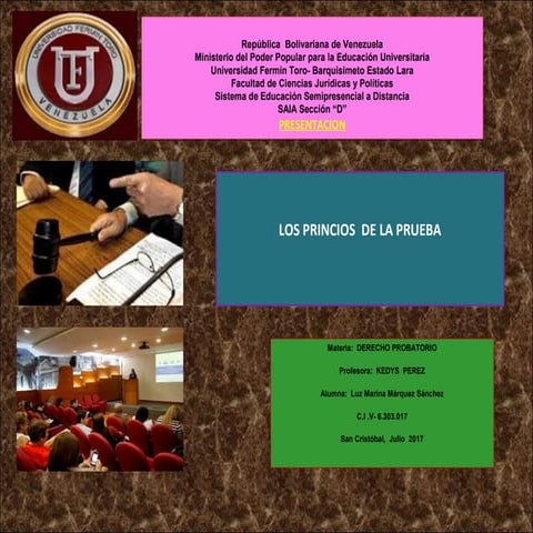 LOS PRINCIPIOS DE LA PRUEBA