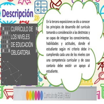Principios del curriculo 3  2 exposicion