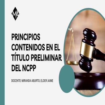 PRINCIPIOS DELDERECHO PROCESAL PENAL.pptx