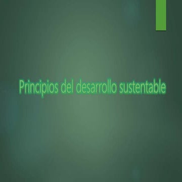 Principios del desarrollo sustentable