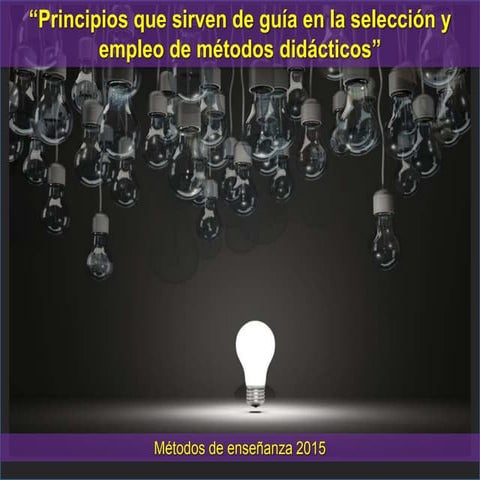 Principios didácticos