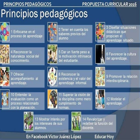 Principios Pedagógicos que sustentan el curriculo 2017