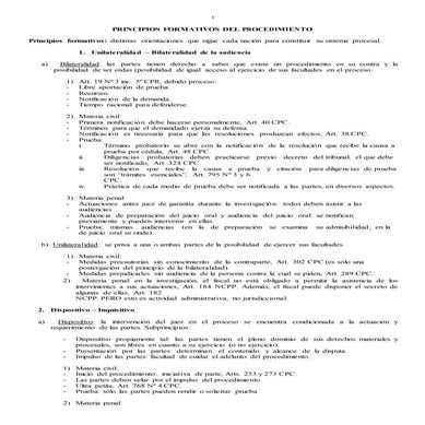 Derecho Procesal Civil - Principios Formativos del Procedimiento