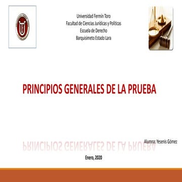 Principios generales de la prueba.