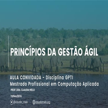 Princípios da Gestão Ágil